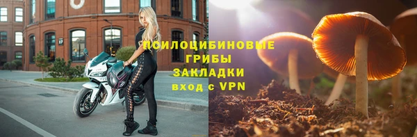 трава Балахна