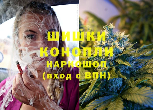 трава Балахна