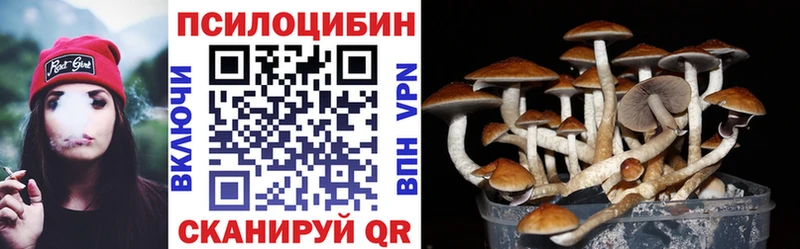 Псилоцибиновые грибы Cubensis  Купить где  Томилино 